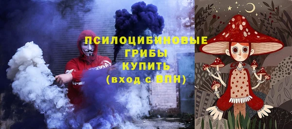 COCAINE Богородицк