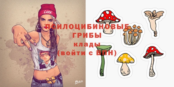 бутират Богданович