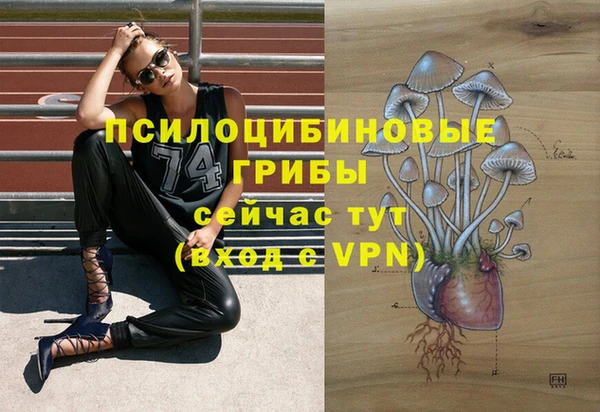 COCAINE Богородицк