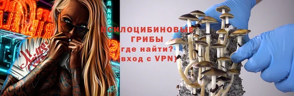 дурь Богородск