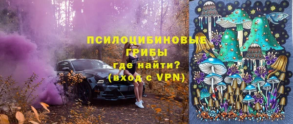 бутират Богданович