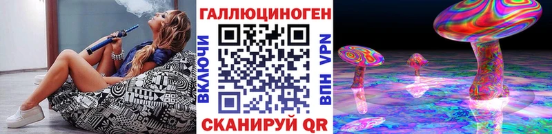 Галлюциногенные грибы Psilocybine cubensis  Купить где  Сураж 